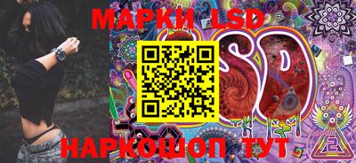 шишки Будённовск