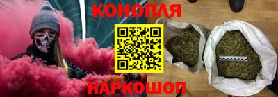 шишки Будённовск