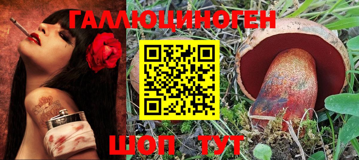 Галлюциногенные грибы MAGIC MUSHROOMS  Белгород  хочу   Псилоцибиновые грибы мицелий 