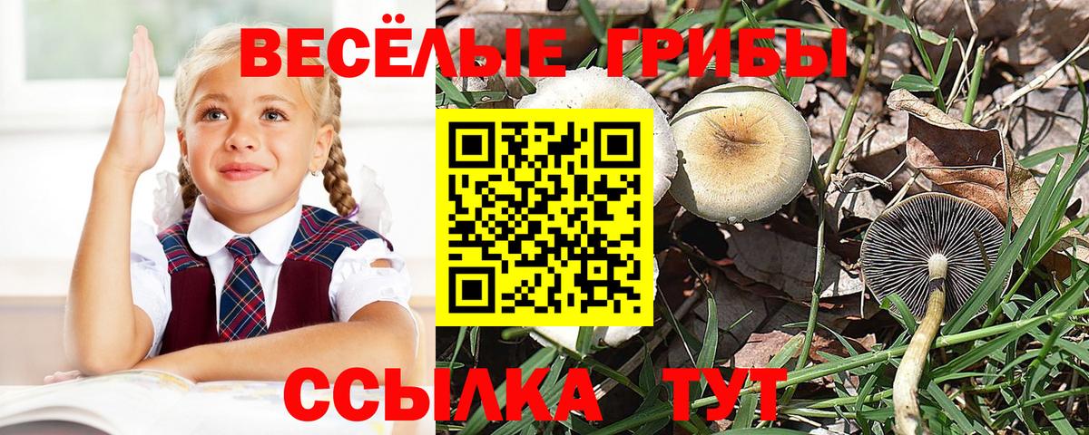 Псилоцибиновые грибы мухоморы Белгород
